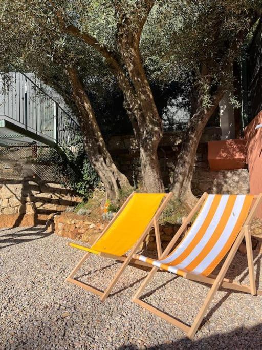 Provencal Au Coeur Du * Le Luc